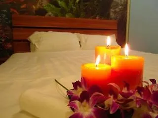 **  Rain Forest Hotel Kuala Lumpur Malaysia