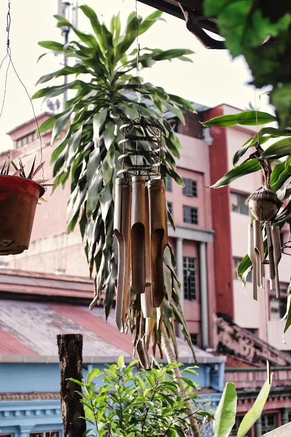 Rain Forest Hotel Kuala Lumpur